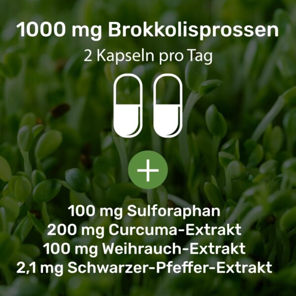 BROKUSAN® Sulforaplex – Bild 4
