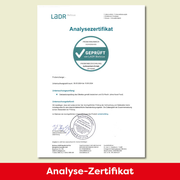 Premium Aprikosenkernextrakt – Bild 5